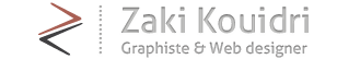 Zaki Kouidri infographiste & Web designer